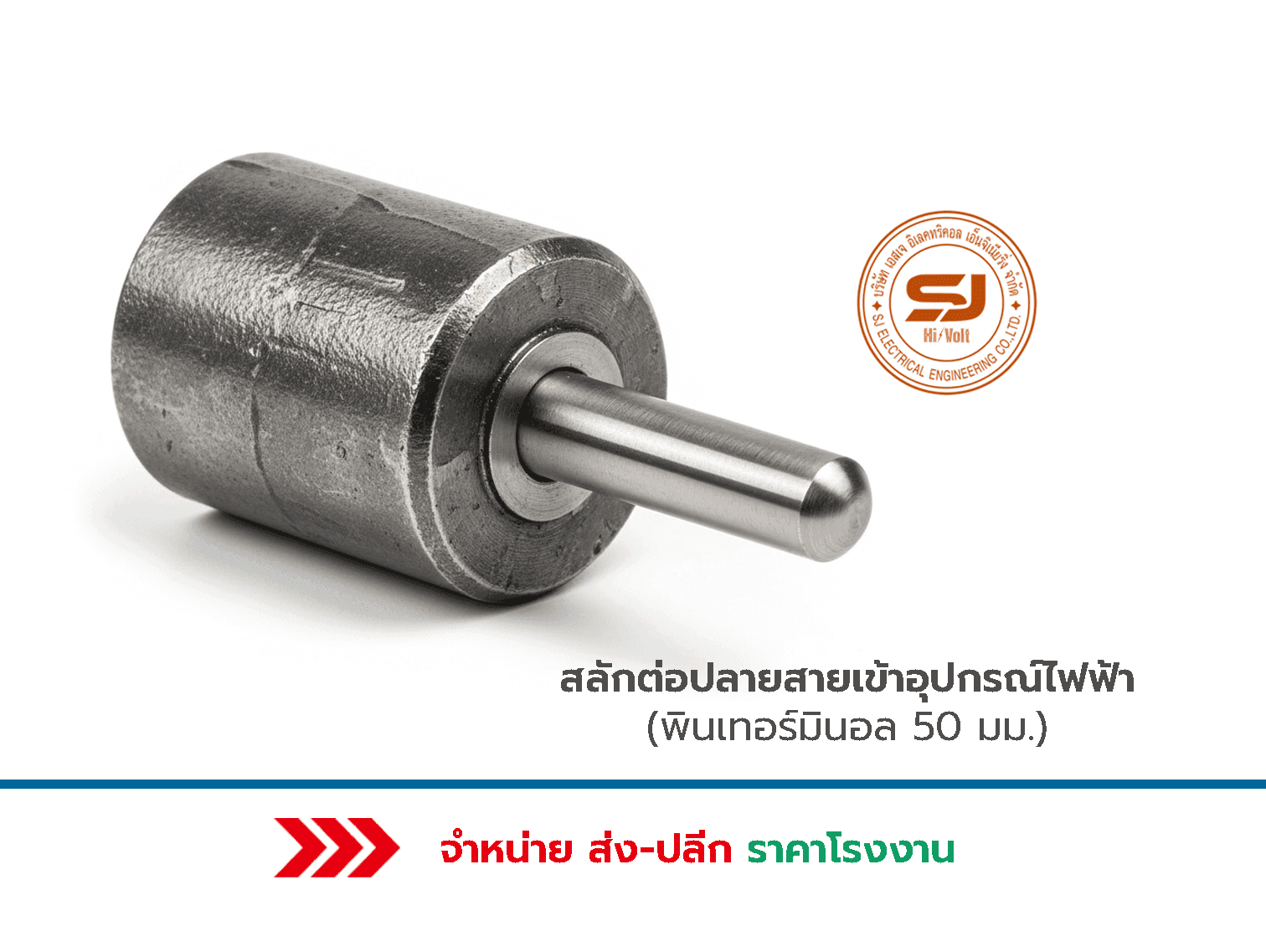 พินเทอร์มินอล 50 mm. ราคา