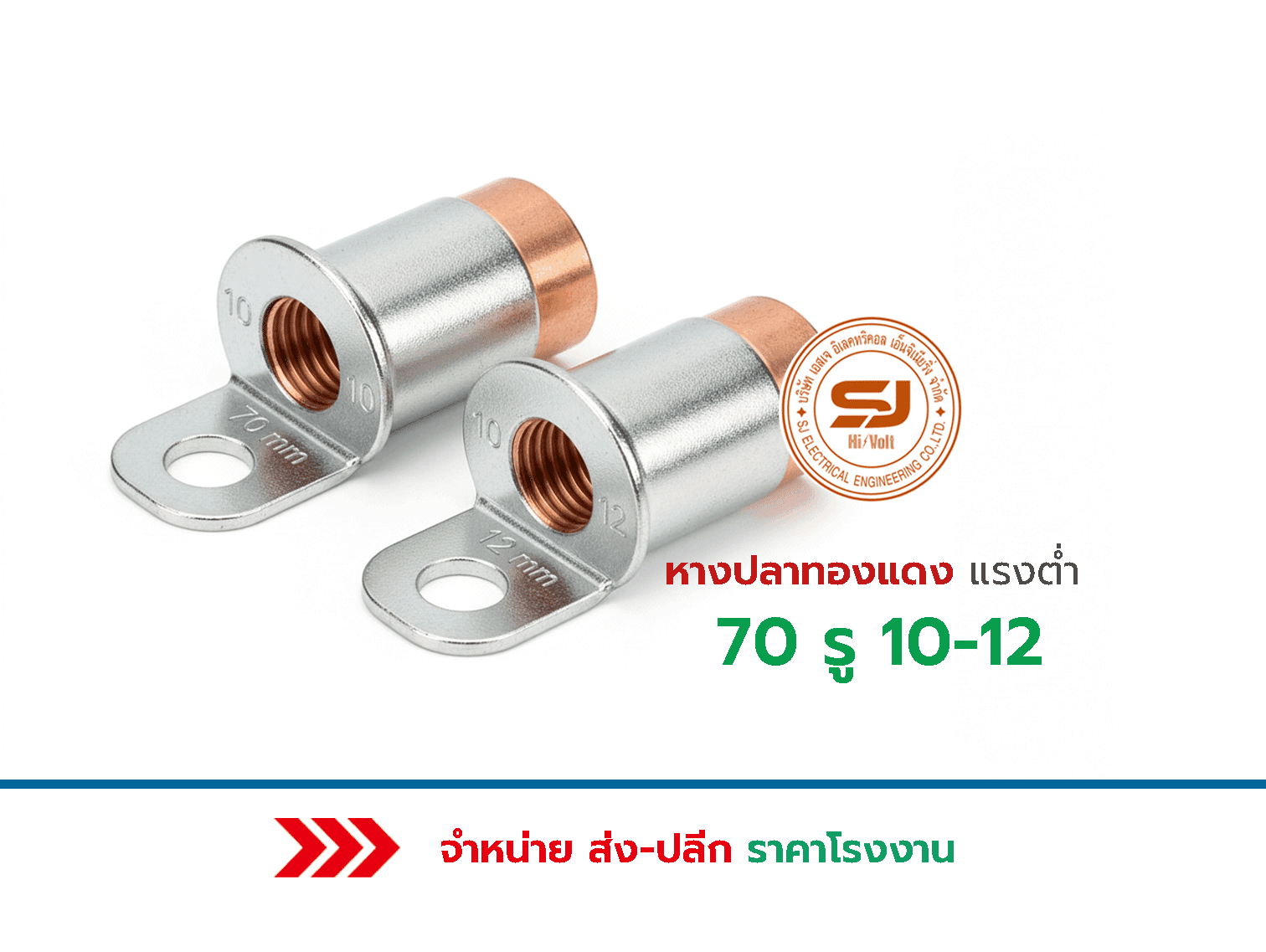 หางปลาทองแดงแรงต่ำ 70 รู 10-12