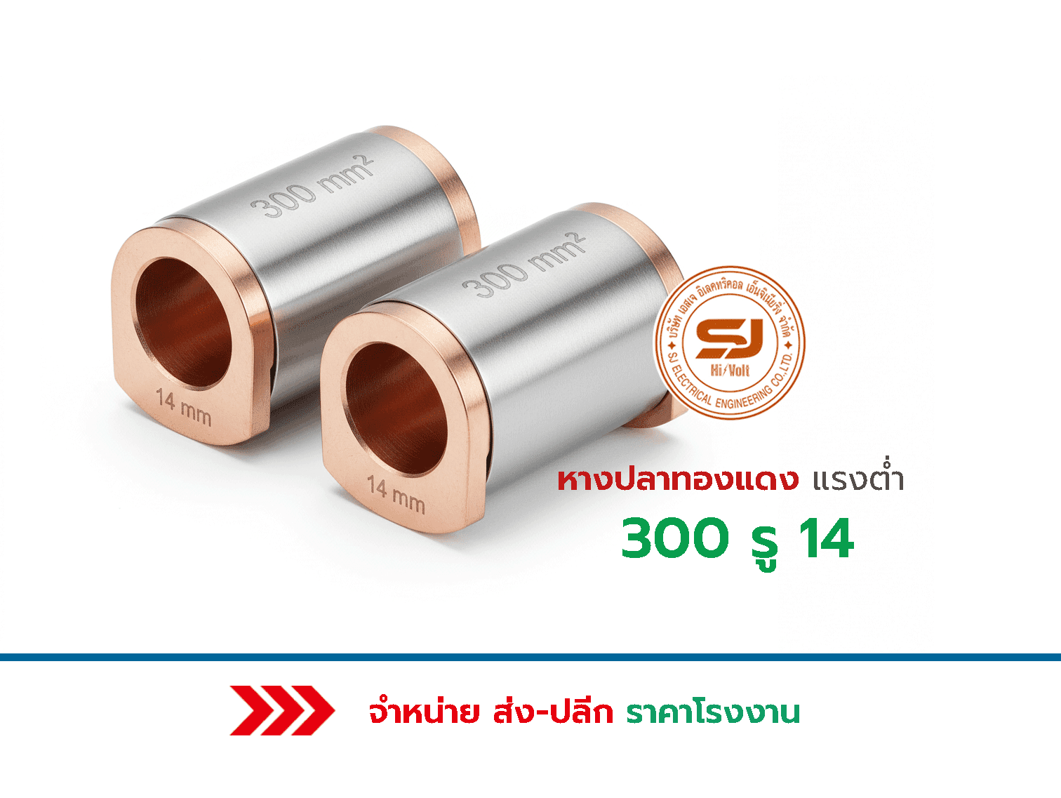 หางปลาทองแดงแรงต่ำ 300 รู 14